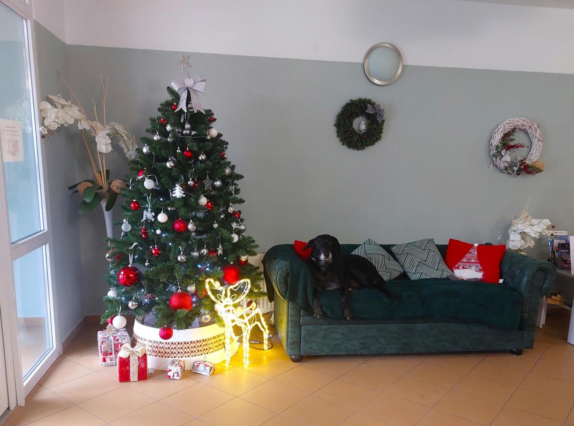 Rezydencja Korab Miedzyzdroje Bagian luar foto
